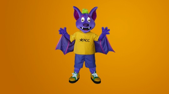 river_bat_acc