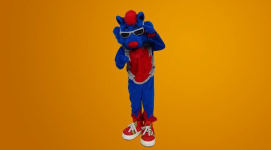 cool cat