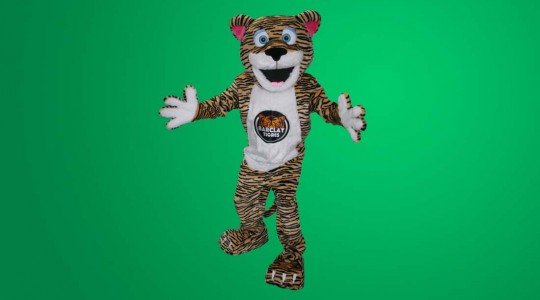 tigre de barclay